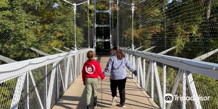 Fall Creek Suspension Bridge