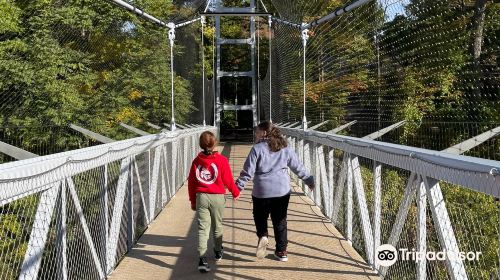 Fall Creek Suspension Bridge