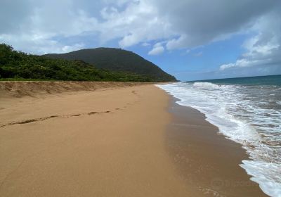 巴斯特爾島