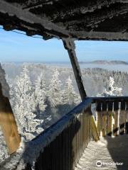 Aussichtsturm Albis-Hochwacht