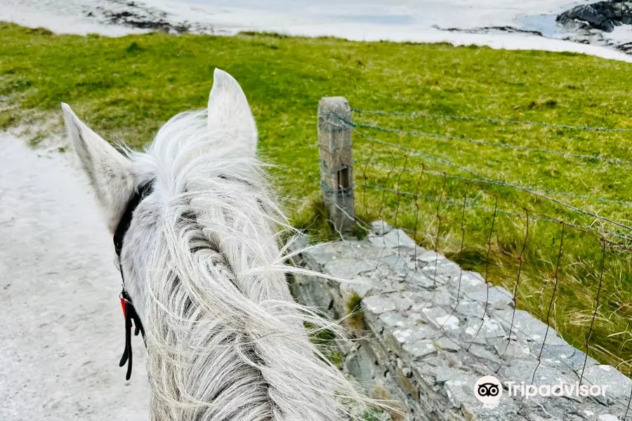 The Point Pony Trekking & Horse Riding Centre