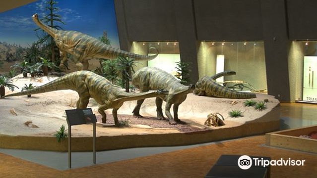 State Museum of Natural History Stuttgart