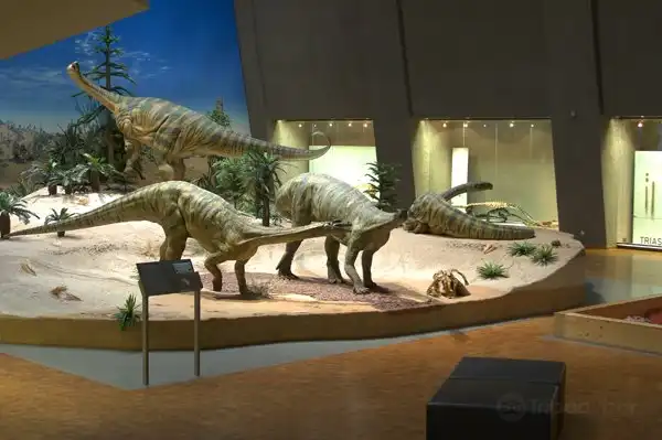 Hotel in zona Stuttgart State Museum of Natural History