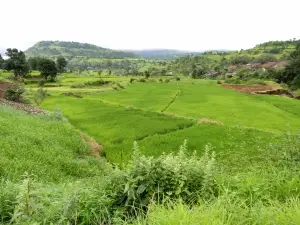 Mt Kalsubai