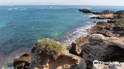 Shoalwater Islands Marine Park