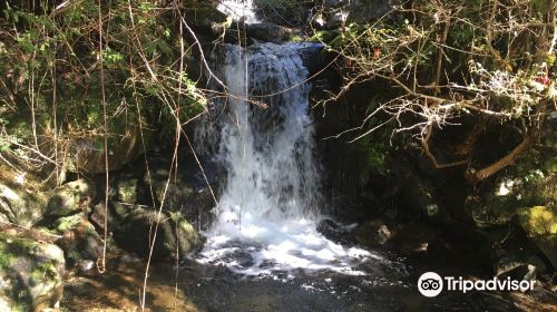 Salto Nina Encantada