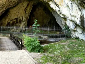 Stopica Cave