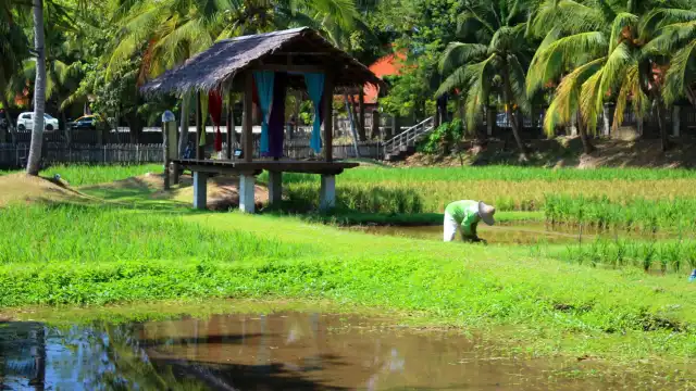 ライスミュージアム周辺のホテル