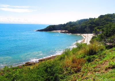 Praia Da Azeda