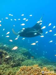 Reef Discovery Bora Bora