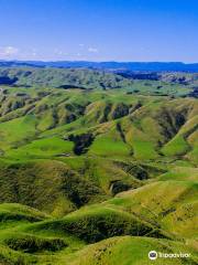 Tussock Ridge Farm Tours