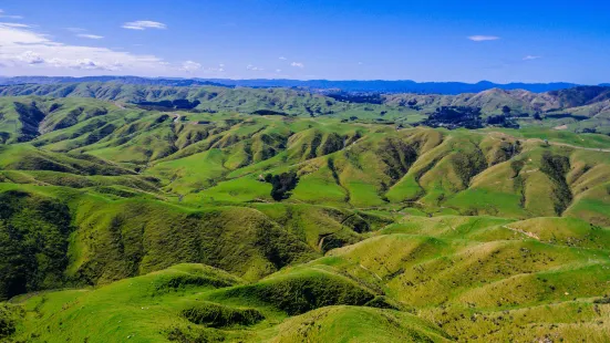 Tussock Ridge Farm Tours