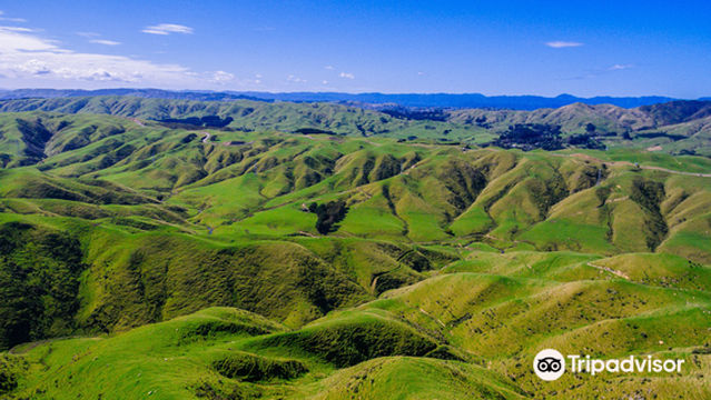 Tussock Ridge Farm Tours
