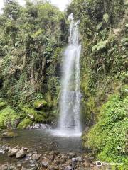 Parque Aventura la Chorrera