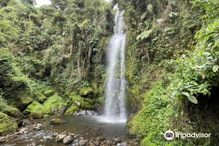 Parque Aventura la Chorrera