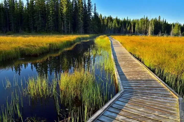 Các khách sạn gần The Beaver Boardwalk