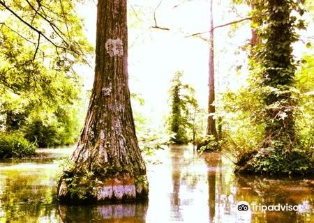 Wall Doxey State Park