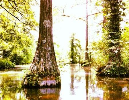 Wall Doxey State Park