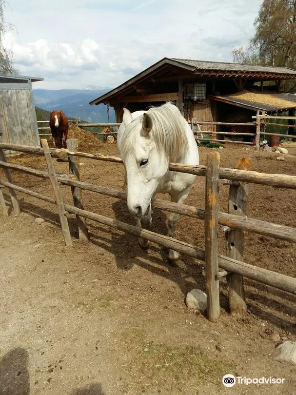 5_Fattoria Rainguthof