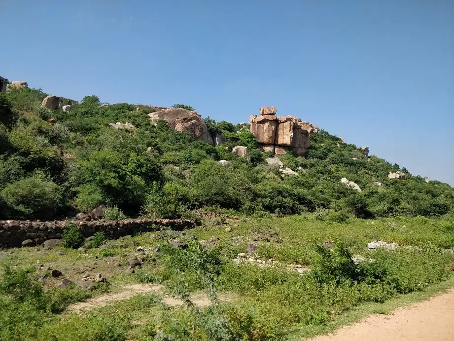 Hotels near Purandaradasa Mantapa