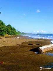 Dominicalito Beach