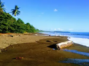 Dominicalito Beach