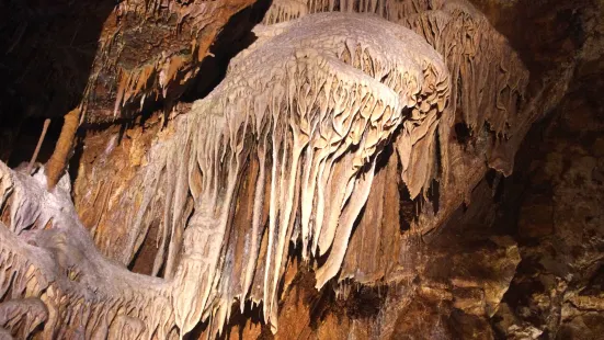 Grottes de Lacave