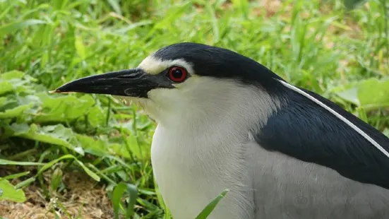 Parc Zoologique de Fort-Mardyck