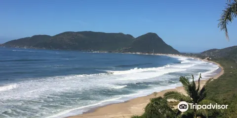 Morro das Pedras Beach