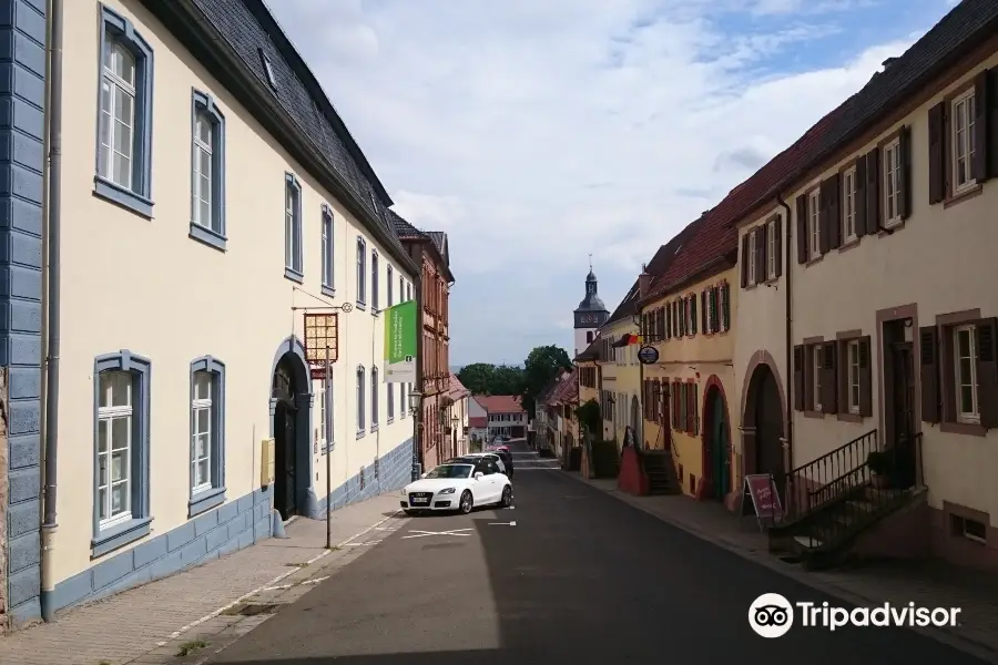 Museum im Stadtpalais Kirchheimbolanden