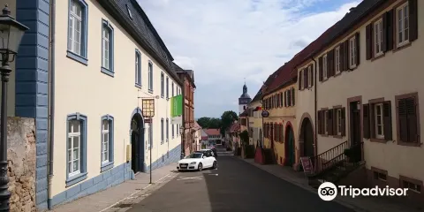 Museum im Stadtpalais Kirchheimbolanden