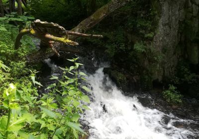 Czartowe Pole Nature Reserve