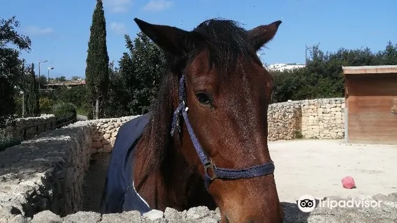 Sant'Antnin Family Park