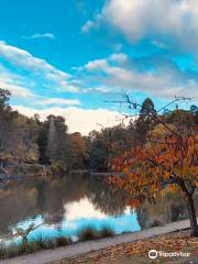 Emerald Lake Park