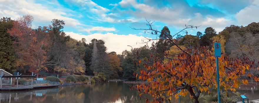 Emerald Lake Park