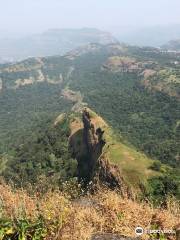 Nagphani (Duke's Nose)