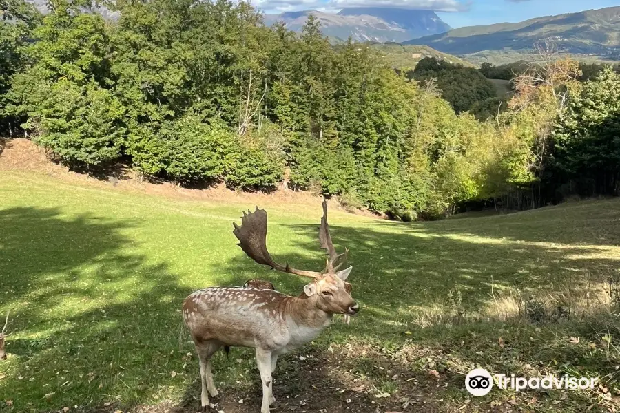 Oasi di Orie Terme