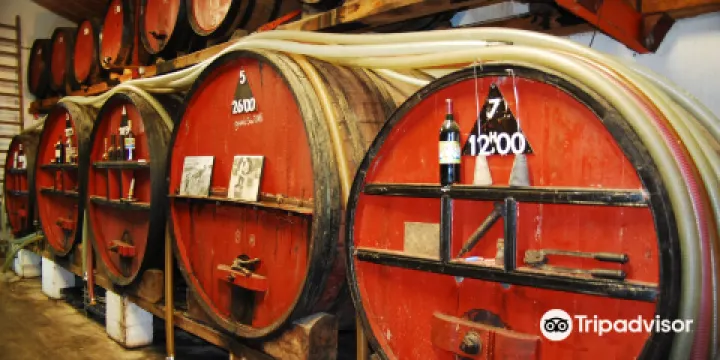 Domaine Vial Magnères