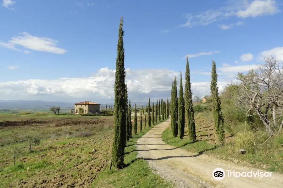 Basile Azienda Agricola Biologica