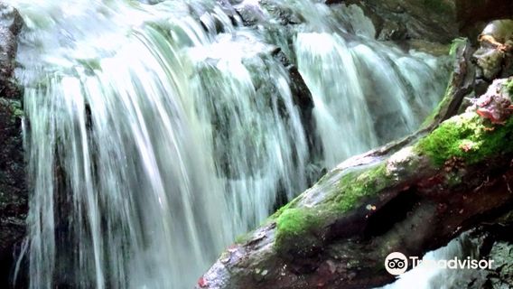 Stepanavan Sochut Dendropark