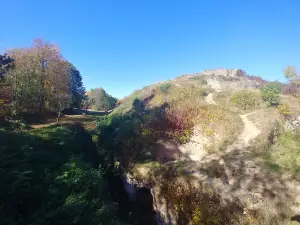 Tarnowski Castle Ruins