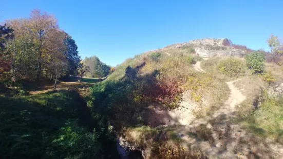 Tarnowski Castle Ruins