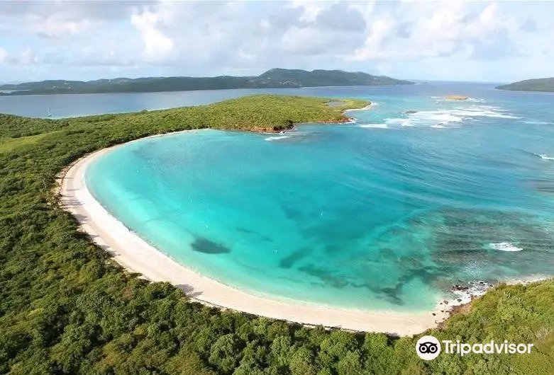 Culebrita Island