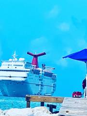 Jaxport Cruise Terminal