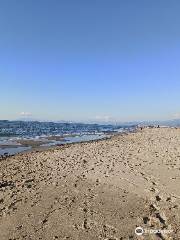 Viareggio Free Beach Dock