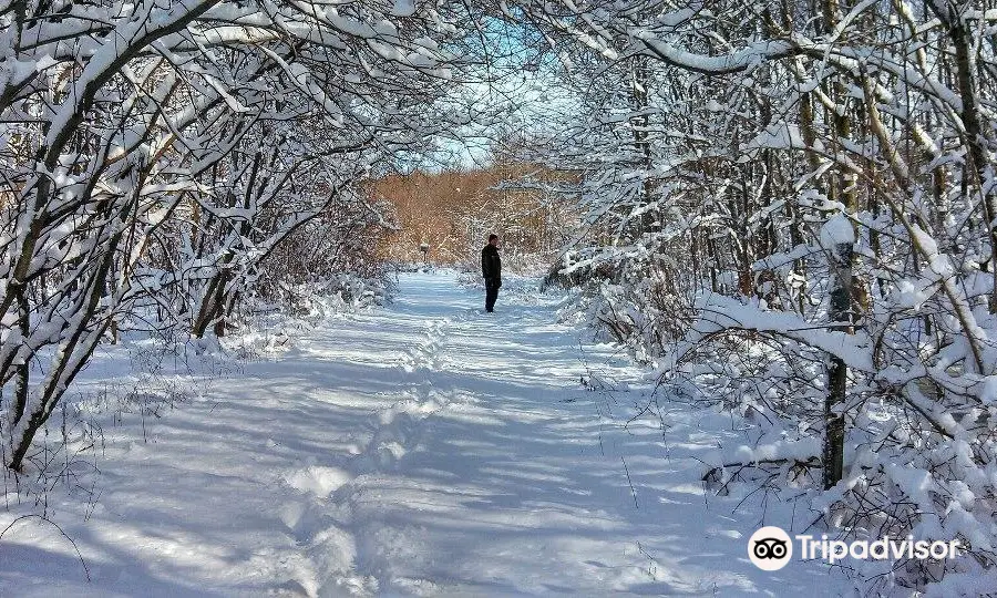 Plainsboro Preserve