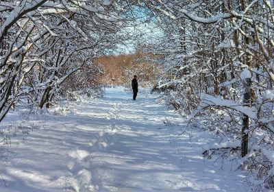 Plainsboro Preserve