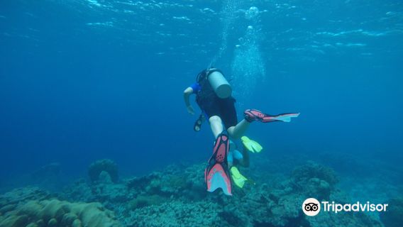 Jads Dive Center