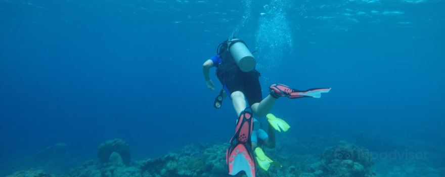 Jads Dive Center