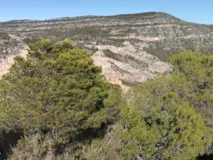 Balneario Hervideros de Cofrentes